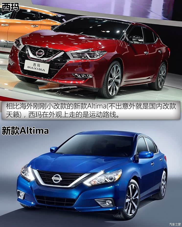 东风日产 西玛 2016款 基本型