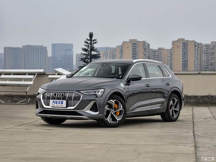 一汽-大众奥迪 奥迪e-tron 2021款 50 quattro 臻选型