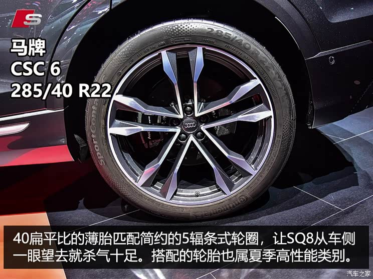奥迪(进口) 奥迪SQ8 2019款 基本型 奥迪(进口) 奥迪SQ8 2019款 基本型