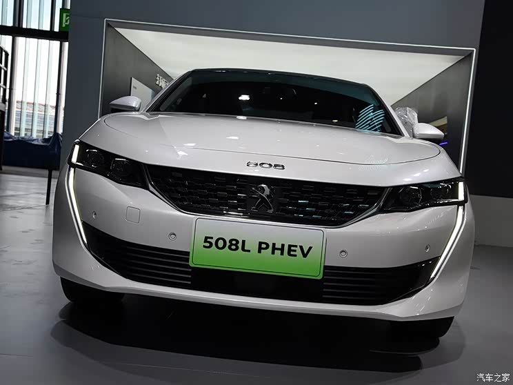 |L(fng)(bio) (bio)508Դ 2019 