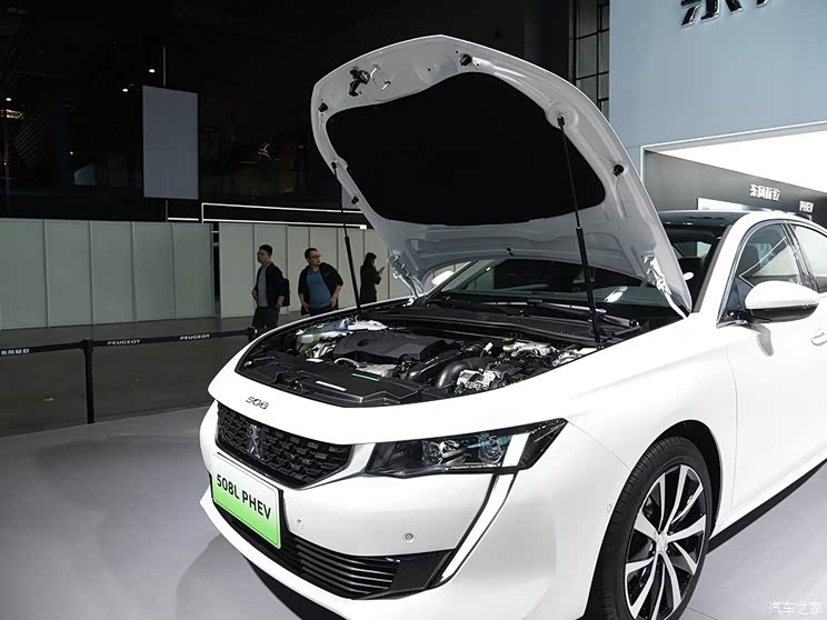 |L(fng)(bio) (bio)508Դ 2019 