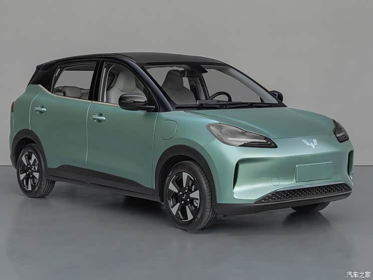 上汽通用五菱 五菱繽果Plus 2024款 510km 低配版 上汽通用五菱 五菱繽果Plus 2024款 510km 低配版