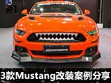 JR-b磺Mustangb