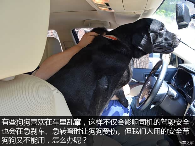 汽車(chē)之家