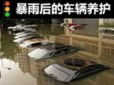 �ų����� �������������DIY�ֲ�