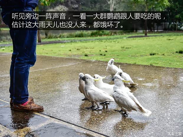 汽车之家