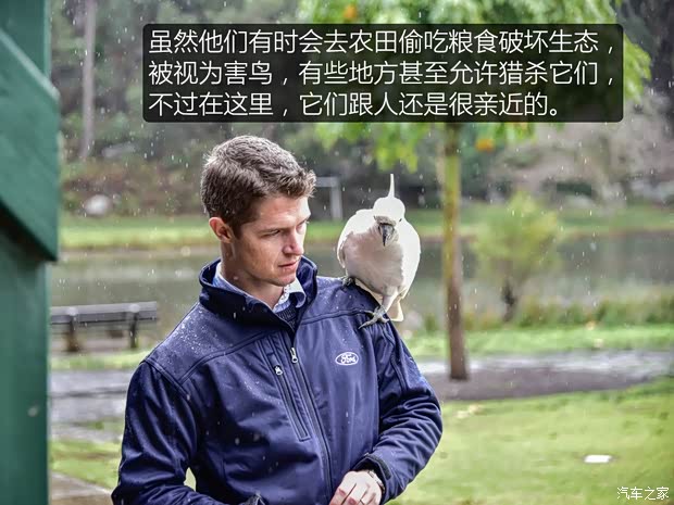 汽车之家