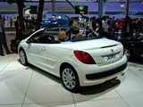 �������2008���ݳ�չ ������ʨ���