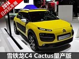 2014߳չѩC4 Cactus