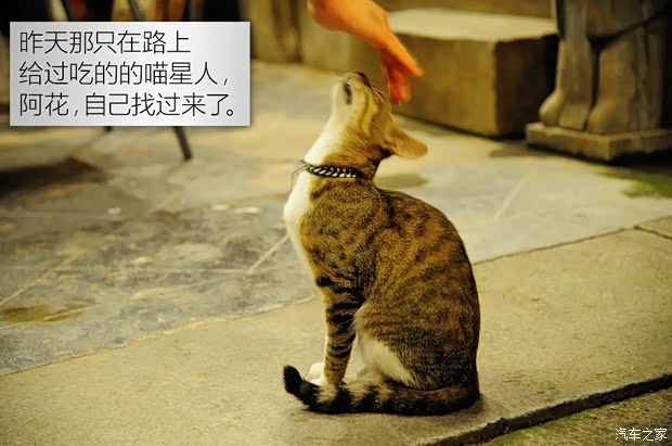 汽车之家