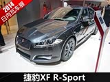 2014߳չݱXF R-Sport