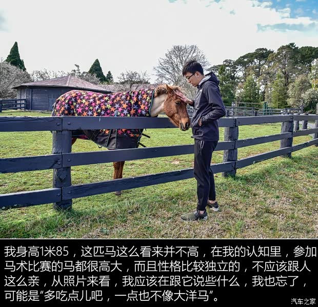 汽车之家