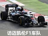��������Ʒ���� �������ױ���F1����