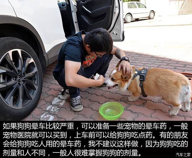 汽車(chē)之家