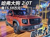 售15.59万元 哈弗大狗新增车型正式上市
