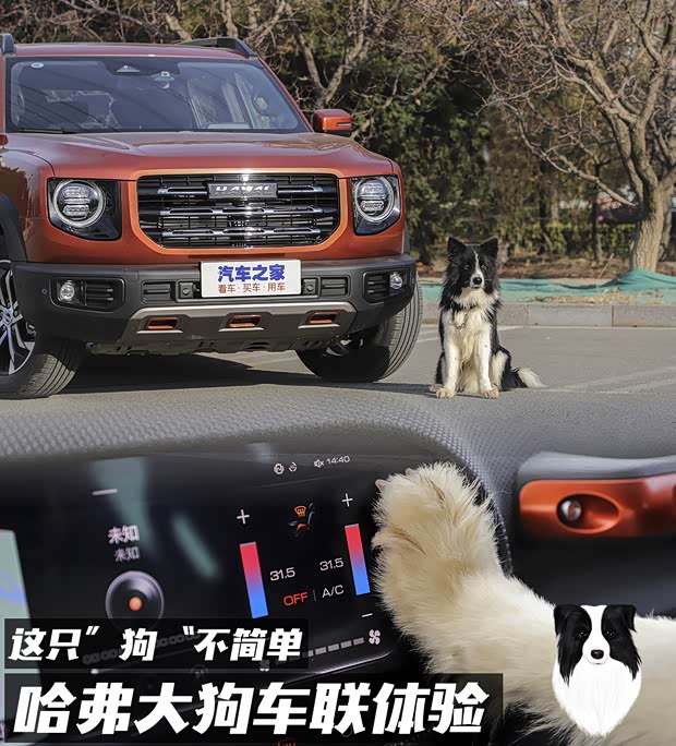 汽車之家