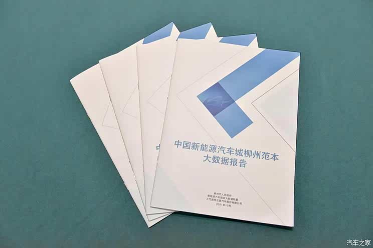 中国新能源城柳州范本大数据报告发布
