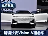 ̫ճ Vision-V