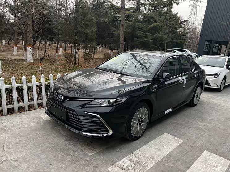 春节买车值不值 2021年畅销车购车调查