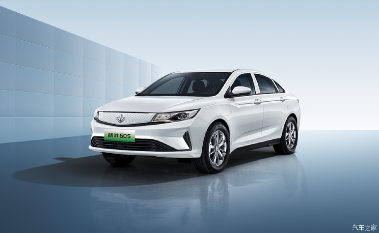 2月上市/提供换电模式 枫叶60S官图发布