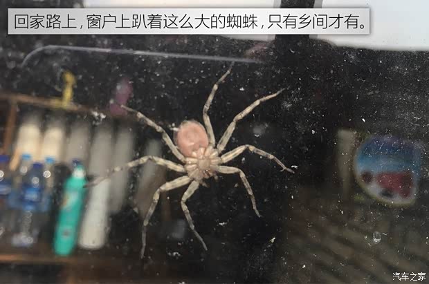 汽车之家