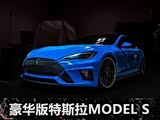  ۸װ˹MODEL S