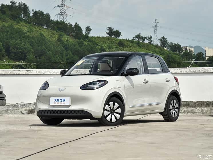 上汽通用五菱 五菱缤果 2023款 333km 悦享 款