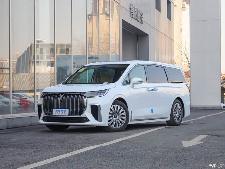 Lantu Auto Lantu Dreamer 2024 EV Super Long Life Excellent Edition