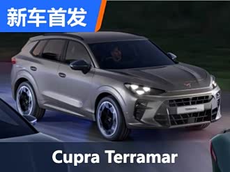 【cupra leon新能源】cupra_cupra leon新能源报价_cupra leon新能源