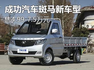 【斑马 2023款】成功汽车_斑马 2023款报价_图片_汽车之家