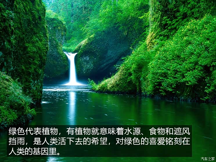 好色主义绿色车真就这么难接受吗