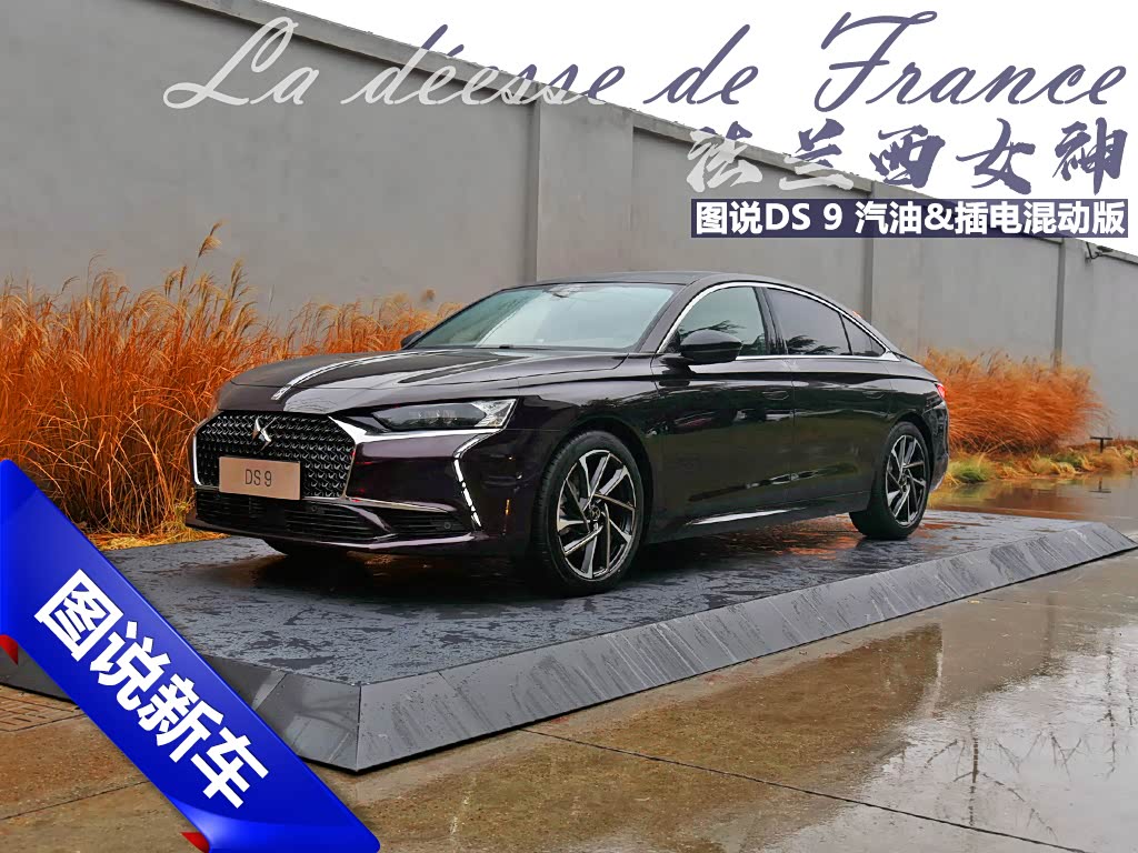 法兰西女神 图说ds 9 汽油&插电混动版