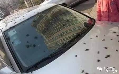 【说客】春节期间怎么停车?