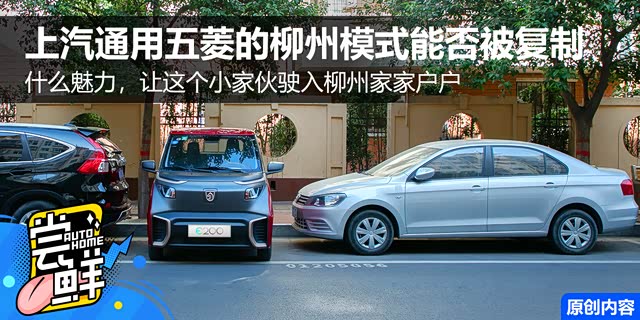 �����ʡ������������ģʽ�ܷ񱻸��ƣ�