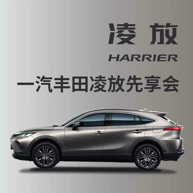 凌越而上的自由 一汽丰田凌放先享会_汽车之家