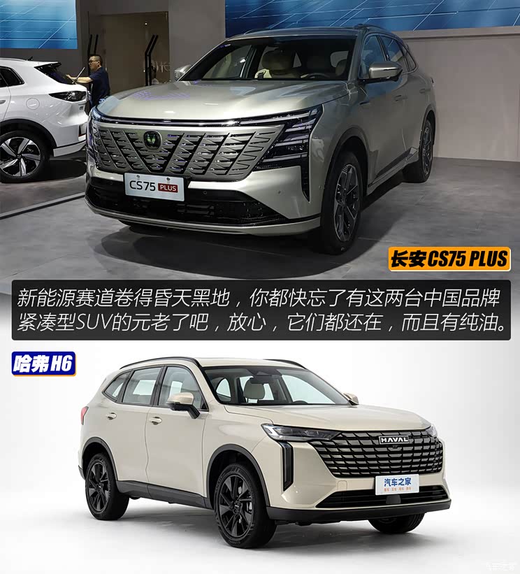 老对手友谊赛 长安cs75 plus对比哈弗h6